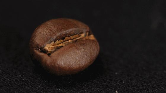 点进来，了解爱上兴隆“歌碧欧”的N个理由～