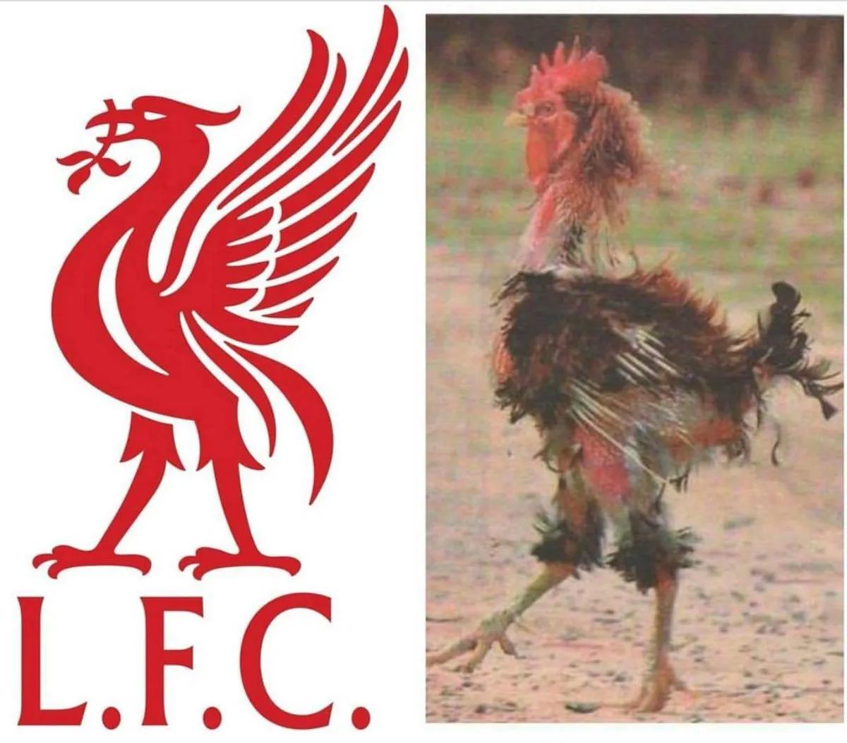 足球消息,曼联巴萨利物浦曼城