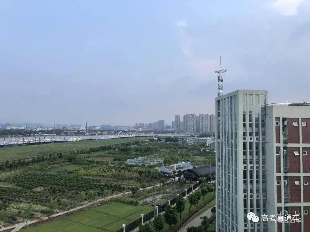 盘点那些环境极好大学宿舍,国内四大豪华大学宿舍