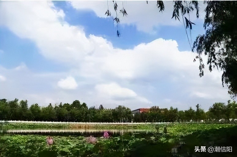 美好生活看信阳都有哪些内容,美好生活看信阳的出处