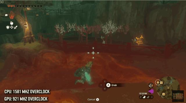 switch王国之泪30帧实测,switch王国之泪掉帧怎么调