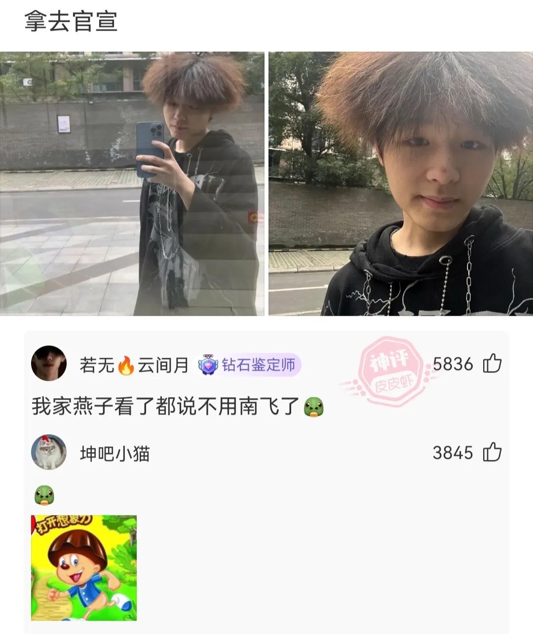 神回复娃哈哈,神回复知乎