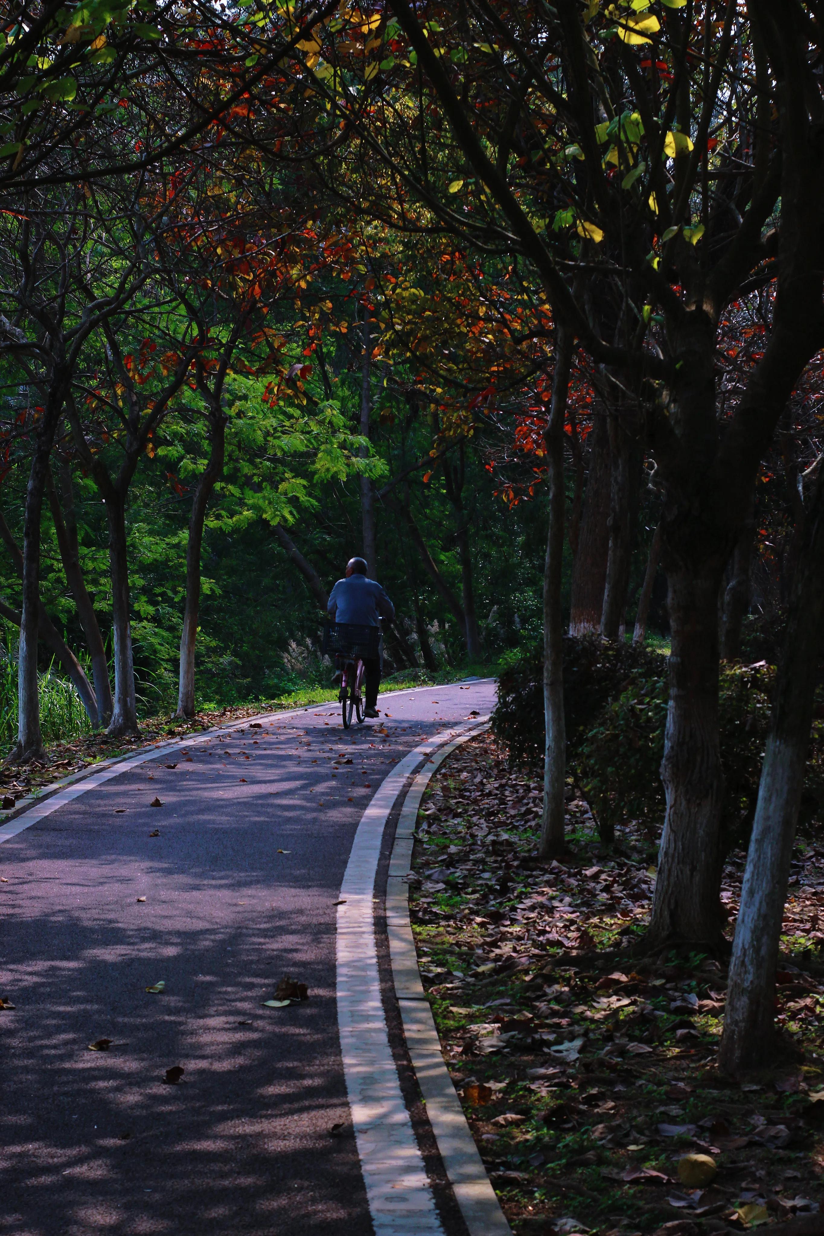 有种关系叫平行线,平行线关系