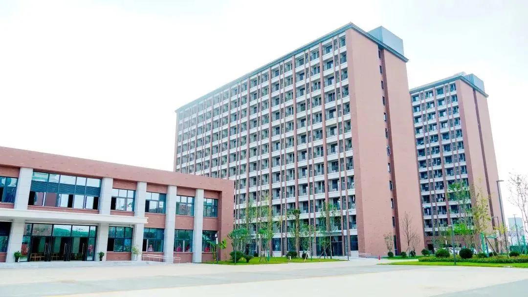 拼经济抓项目强招商,拼经济搞建设抓发展存在的问题