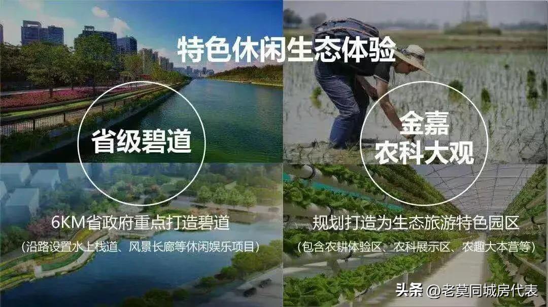 保利房子首付98万,保利资金链问题