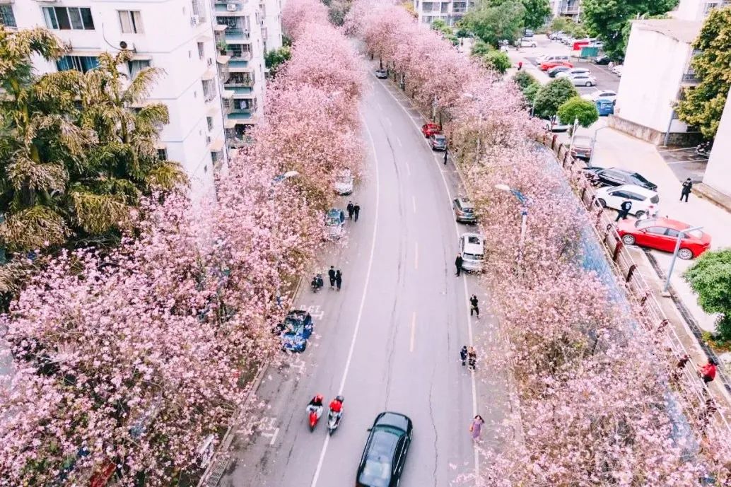 打飞的都要去坐的动车,怎么每站都这么好看