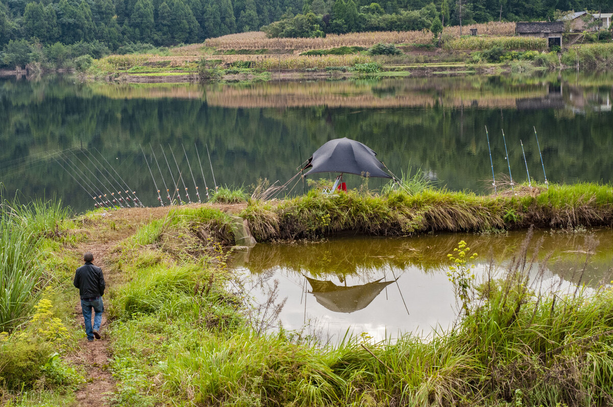 蚯蚓钓鲫鱼小杂鱼闹窝怎么办,冬钓鲫鱼有杂鱼闹窝怎么办