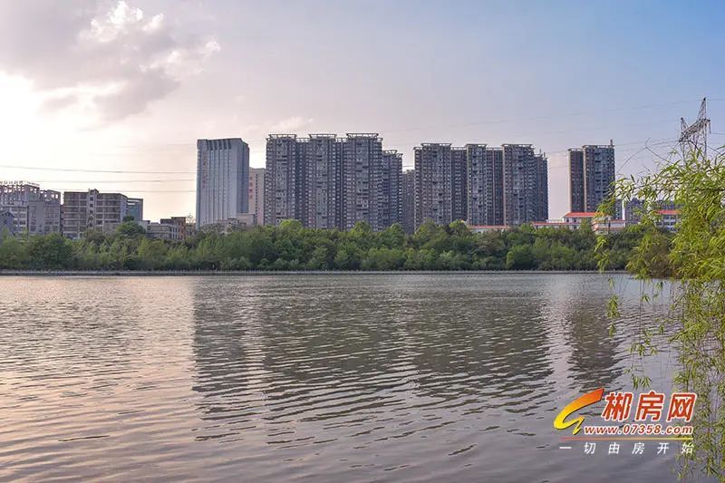 郴州爱莲湖星湖湾楼王,大师兄说楼市