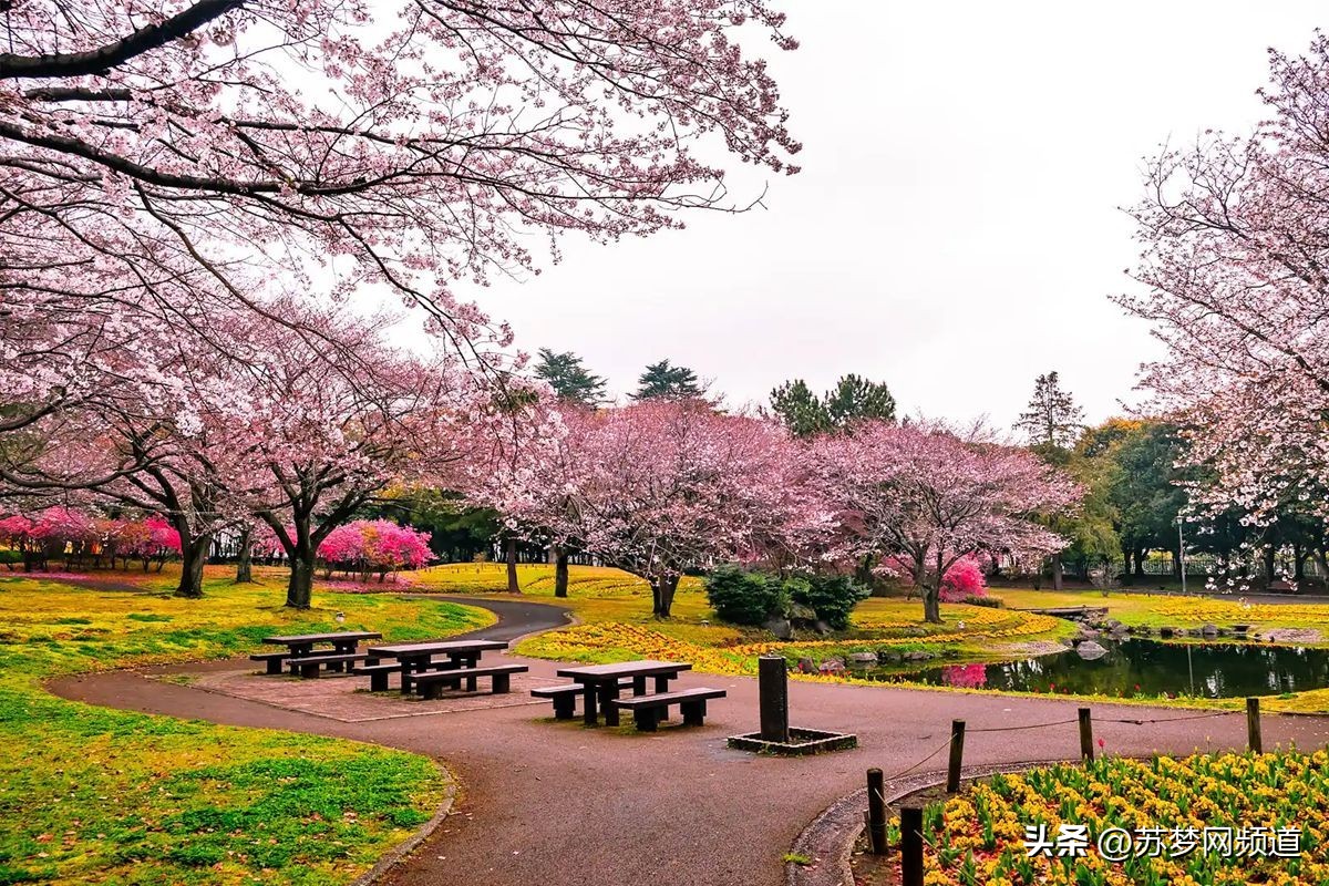 别府居酒屋,别府御原堂