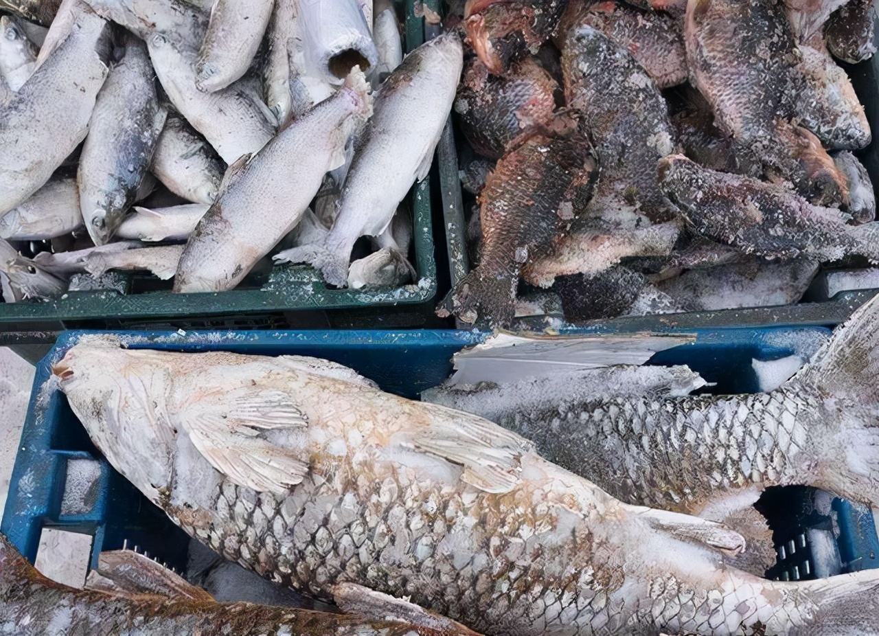 甲醛大户的危害,甲醛大户或被找到这五类食物