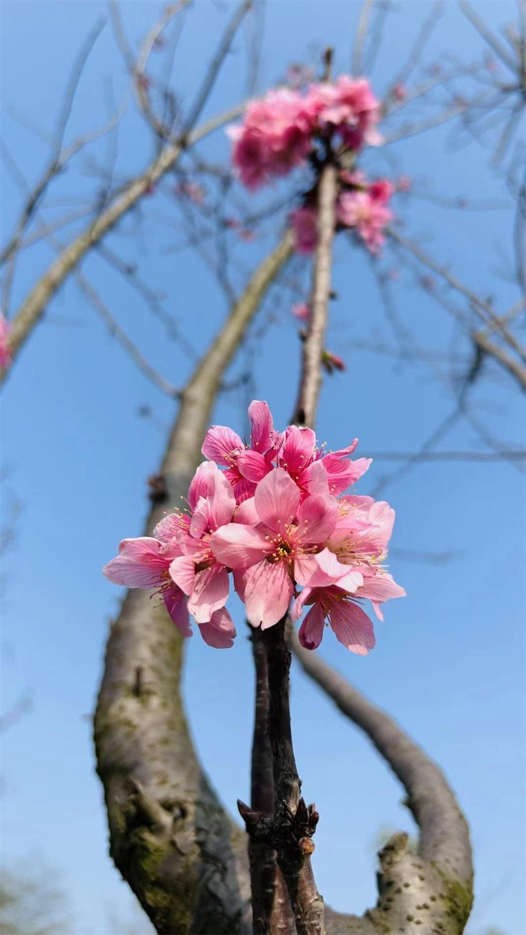 我的健身项目计划,我的健身规划