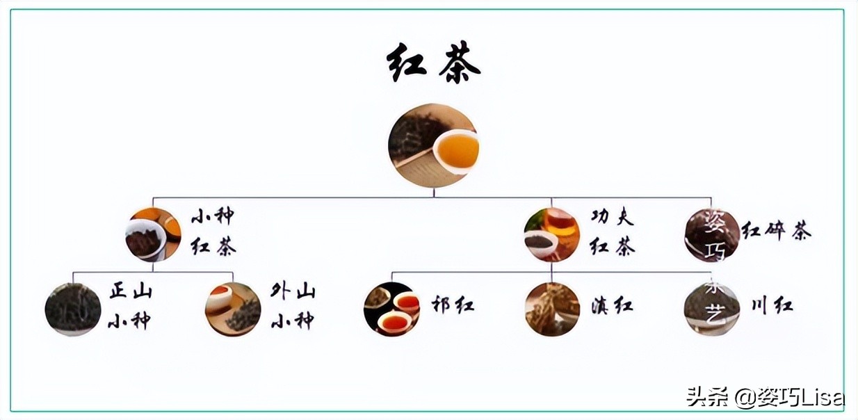 红茶茶艺入门,茶艺绿茶知识