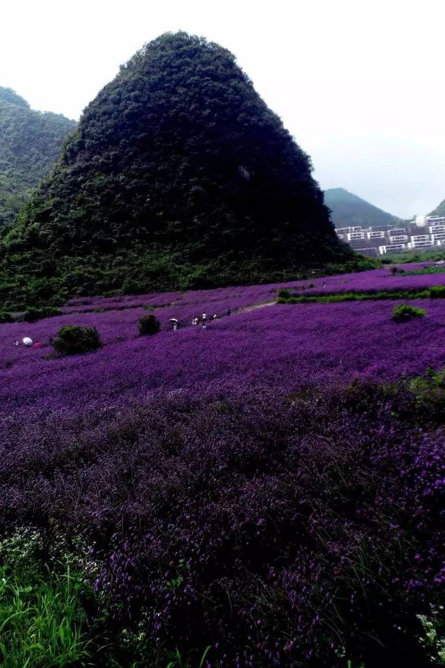 30个最美小城你去过哪几个了,10个国内此生必去的美丽小城