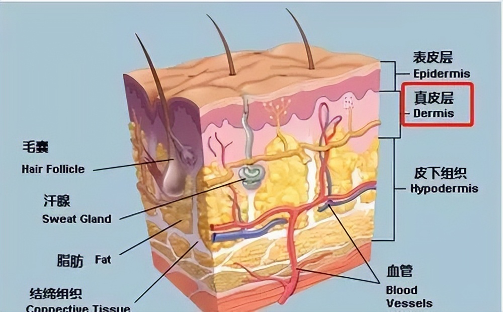 打水光针的痛苦,打水光针的惨痛经历