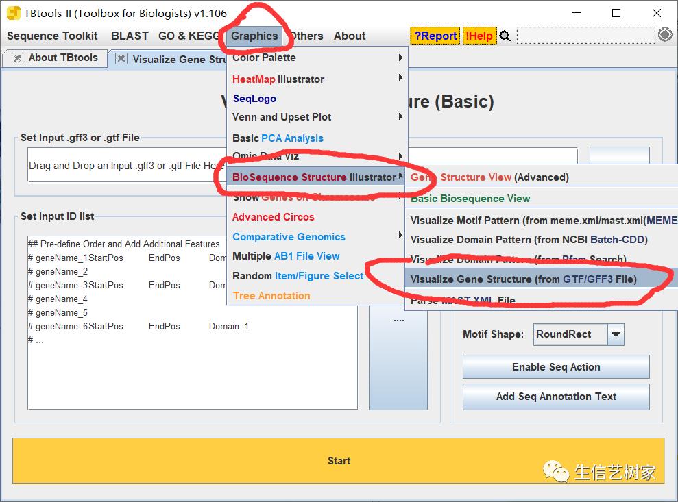 TBtools|基因家族分析,进化树、Motifs、结构域