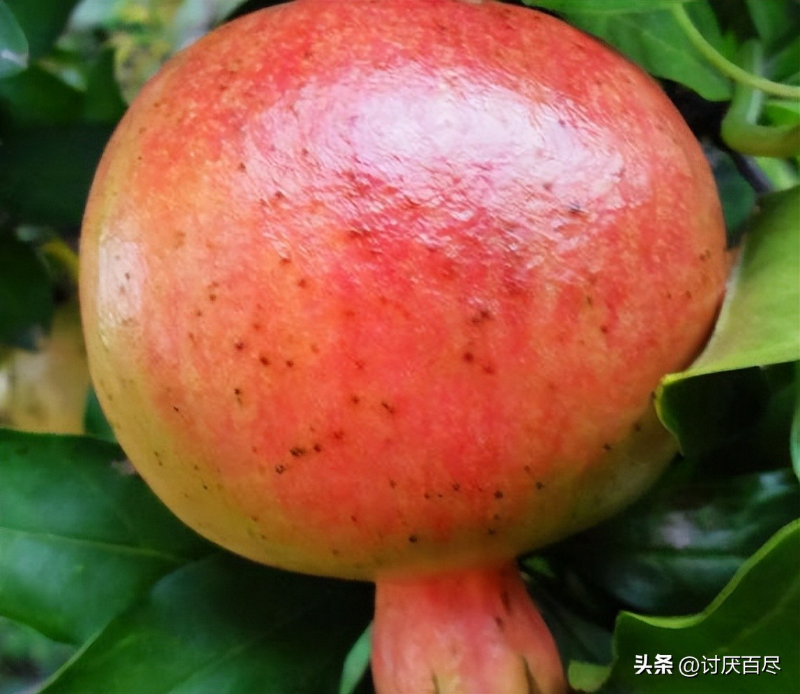 别让香烟抽走灵魂,不要让香烟与生命一起点燃