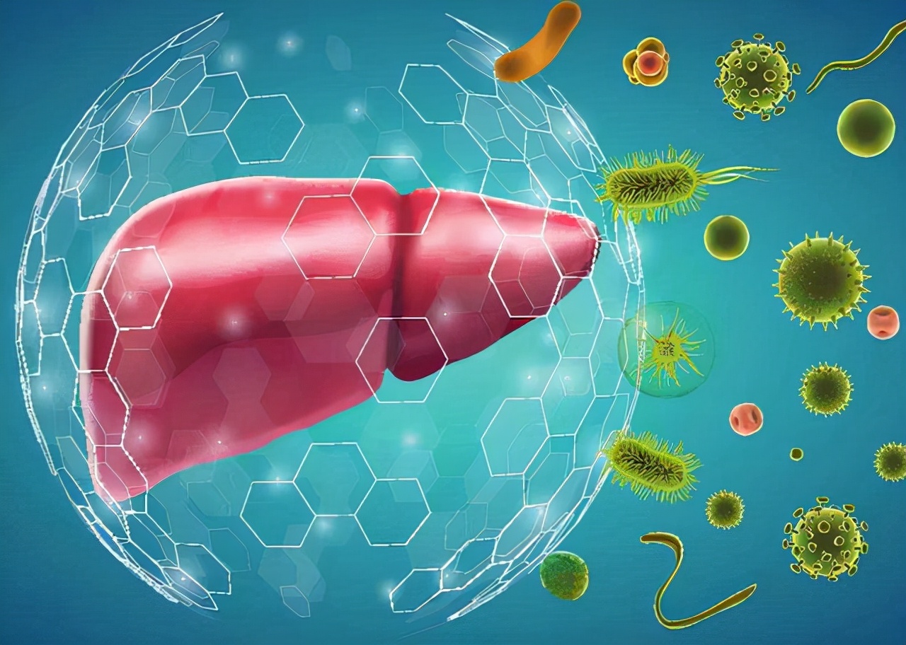 为什么医生建议停止使用绞肉机,使用绞肉机会损伤肝脏系谣言