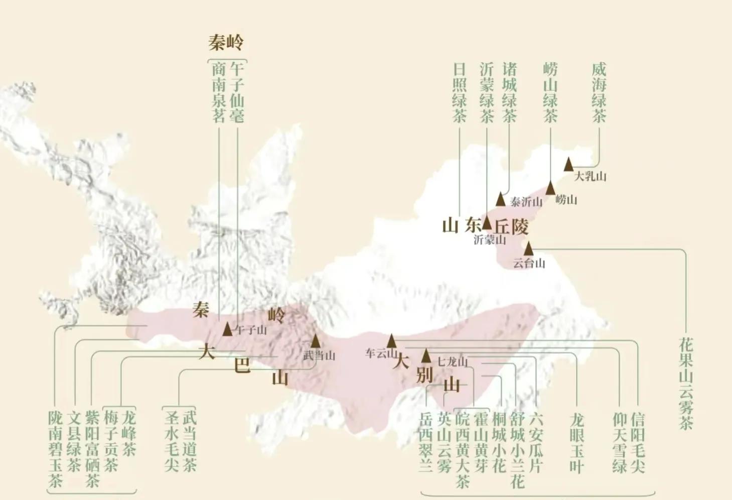 茶叶比赛信阳毛尖,信阳毛尖茶王争霸比赛