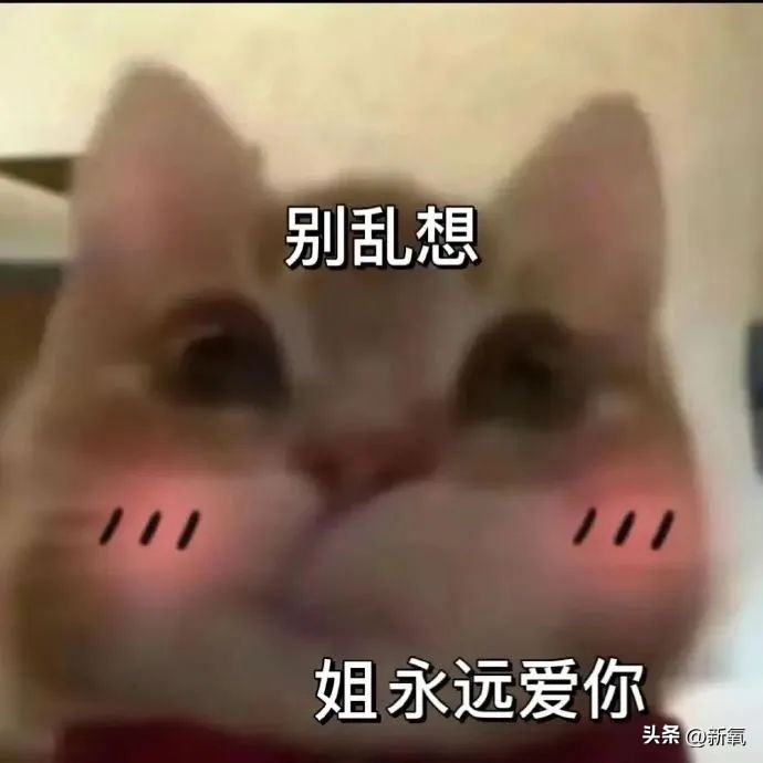 24岁媚眼如丝恋爱脑，10年后帅过前任，她情丝和头发一起斩断了？