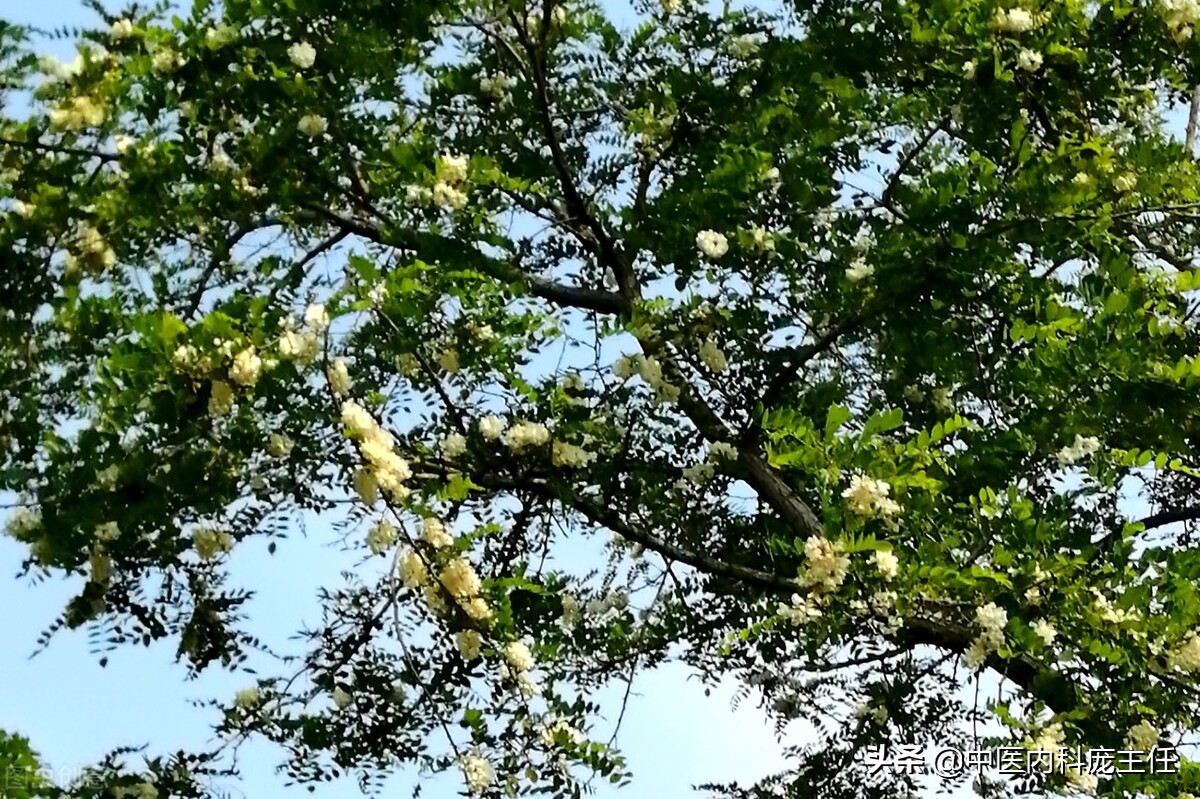 胃热炽盛型糖尿病中医名方,清胃泻火养阴增液