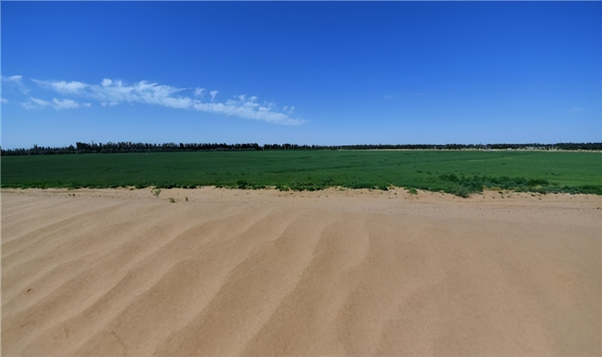 蒙牛沙漠有机奶是真的沙漠奶吗,来之不易的奶粉