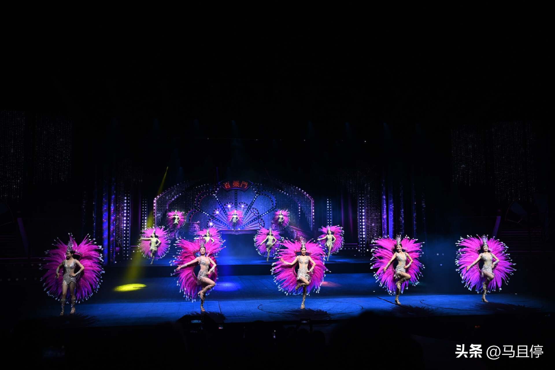 周末去哪玩上海亲子,周末带孩子上海好玩的地方推荐