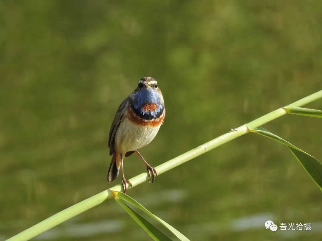 砂石坑什么时候挖出来,砂石石槽图片