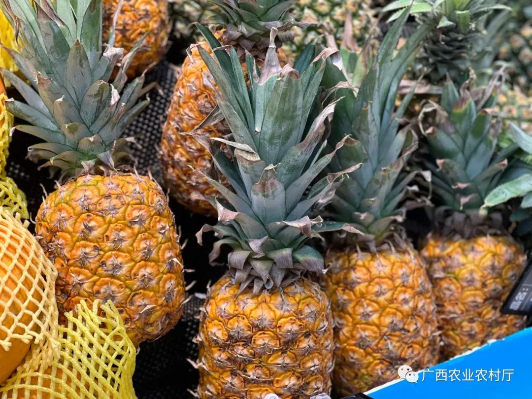 夏季有哪些水果上市,夏天上市的蔬菜有什么