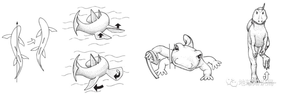 他们，做了一个违背祖宗的决定！|地球知识局