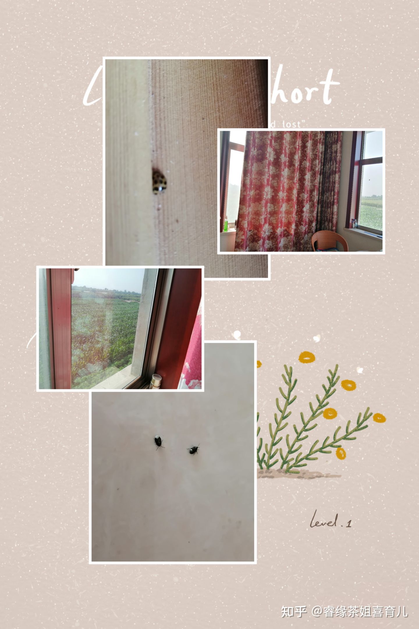 暑假作业出现昆虫类的题目,孩子看都不要看拒绝做这类题