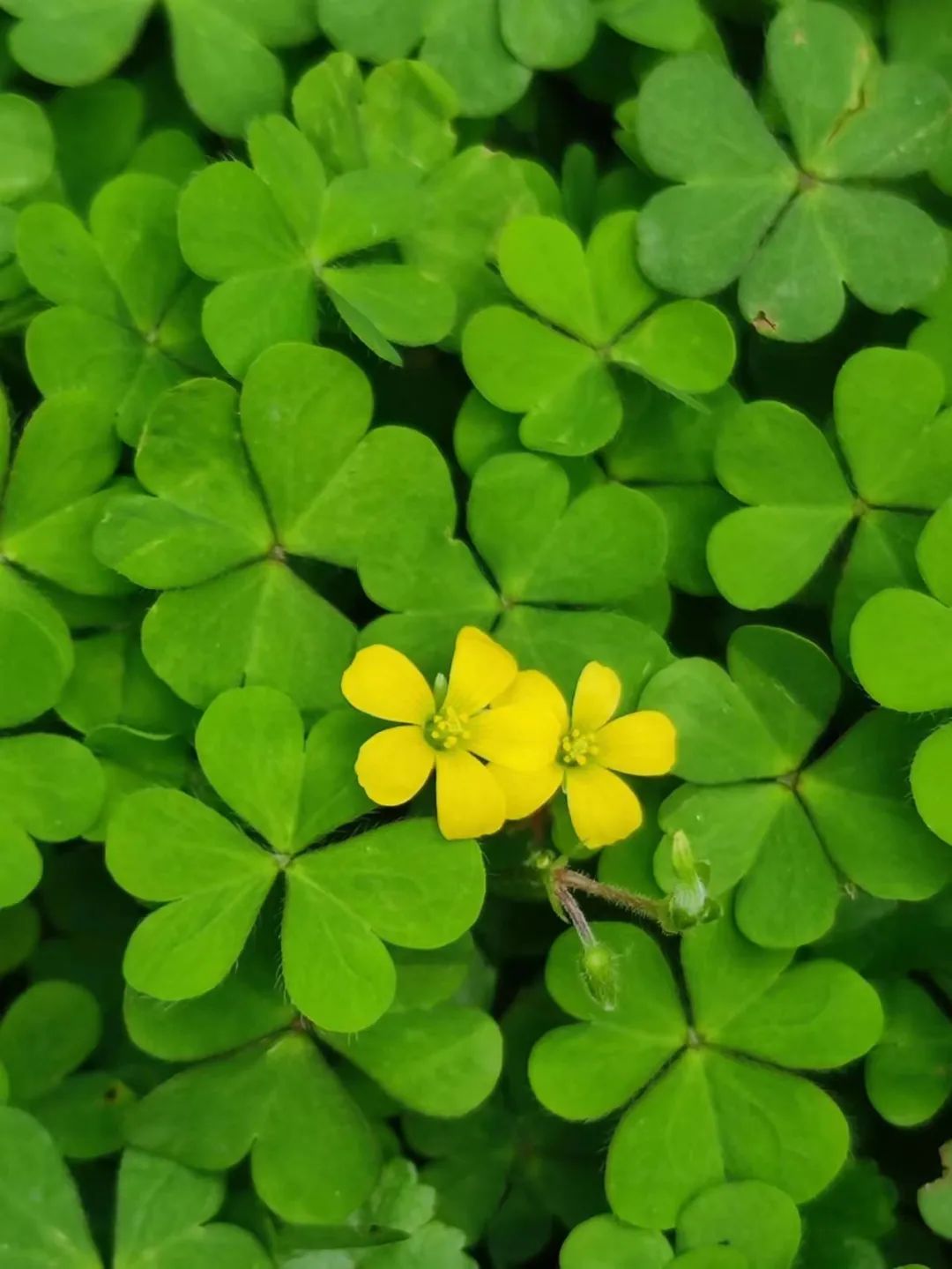 血案频频，切记低调做人