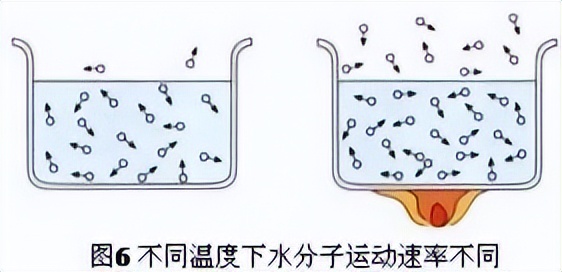 科学知识大全小学生必背,科学知识大全全集