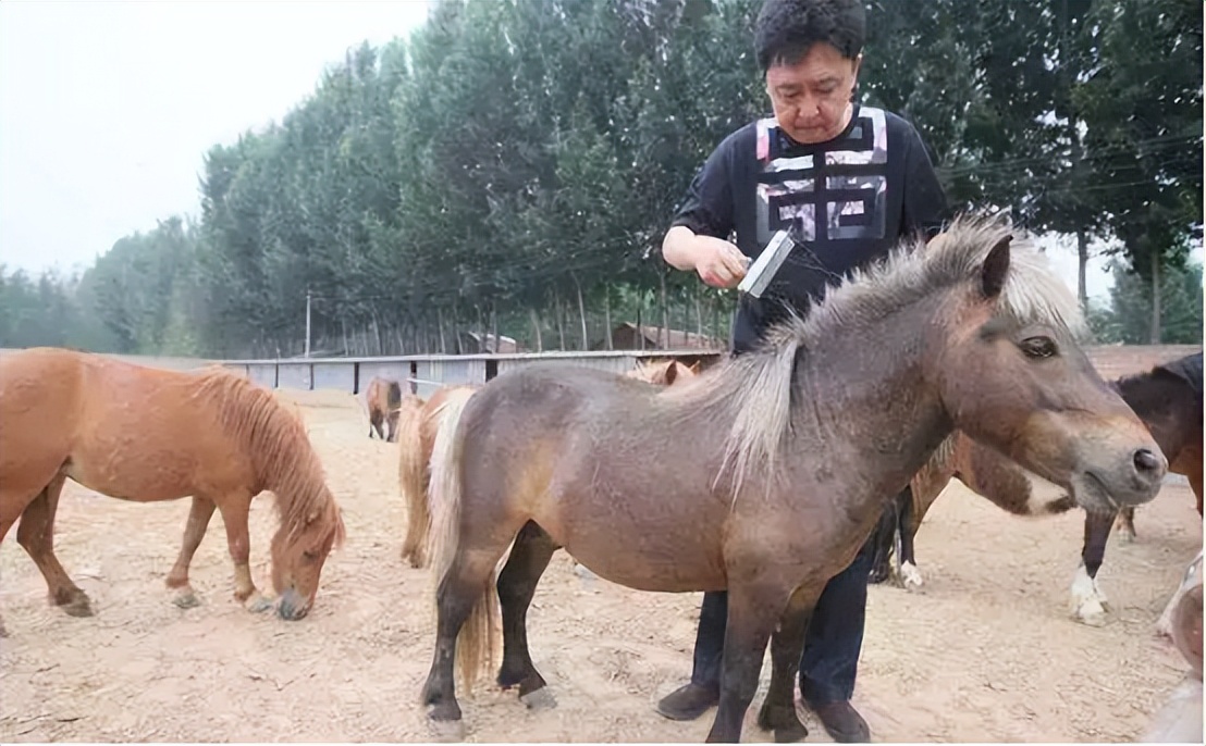 于谦60亩马场被拆，*迁拆**款高达4亿？本人笑着回应：别胡说八道