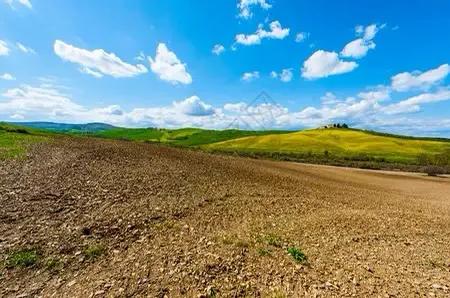 土壤缺钼怎么办,植物缺少钼元素会有什么结果