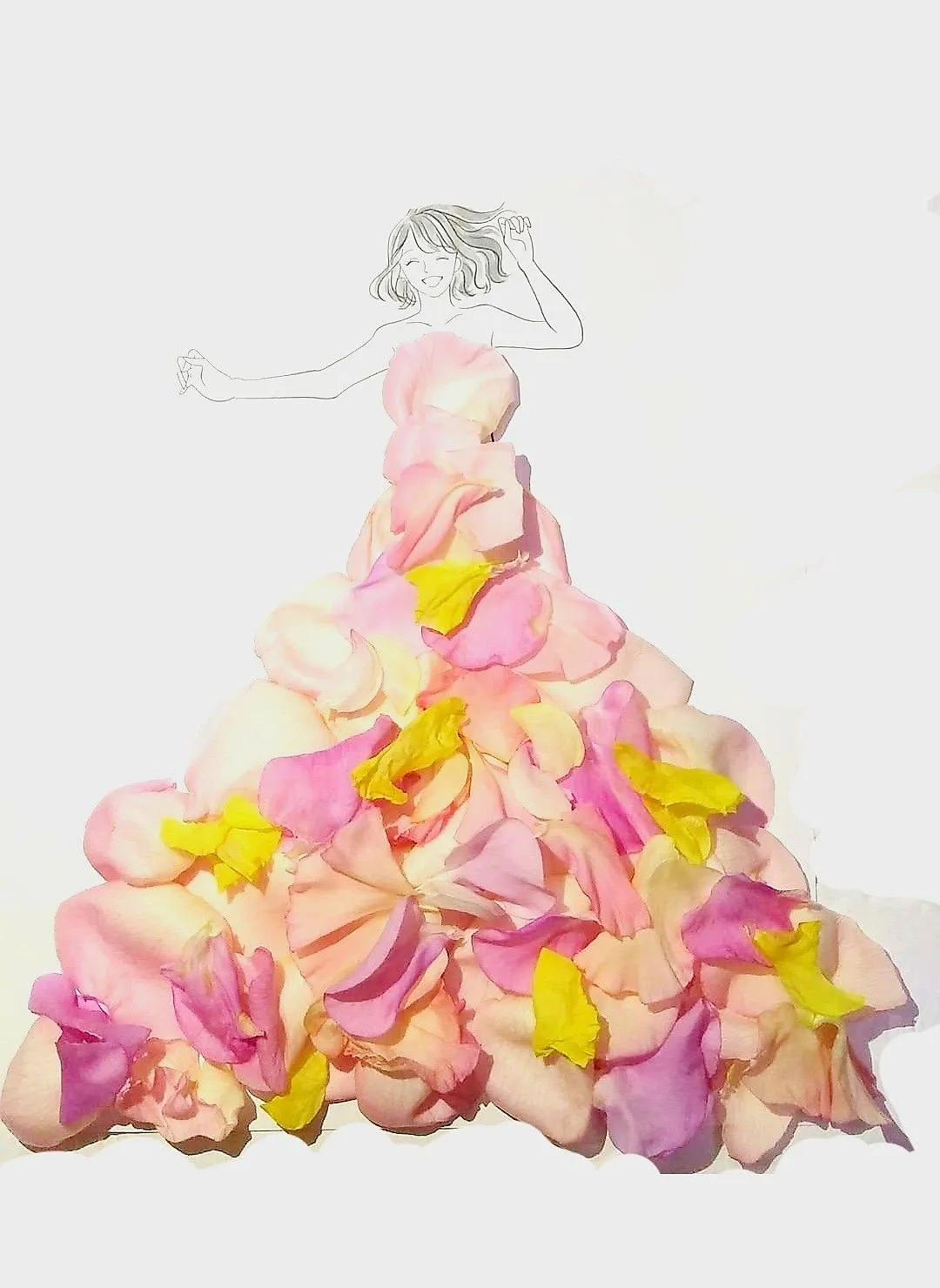 花仙子植物开花,花仙子开满鲜花