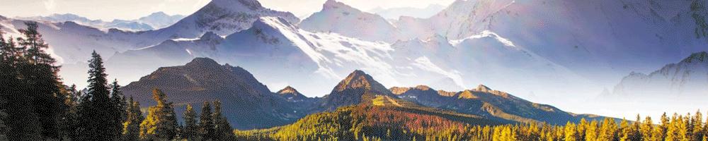 中国移动的珍贵号段,中国移动最稀有号