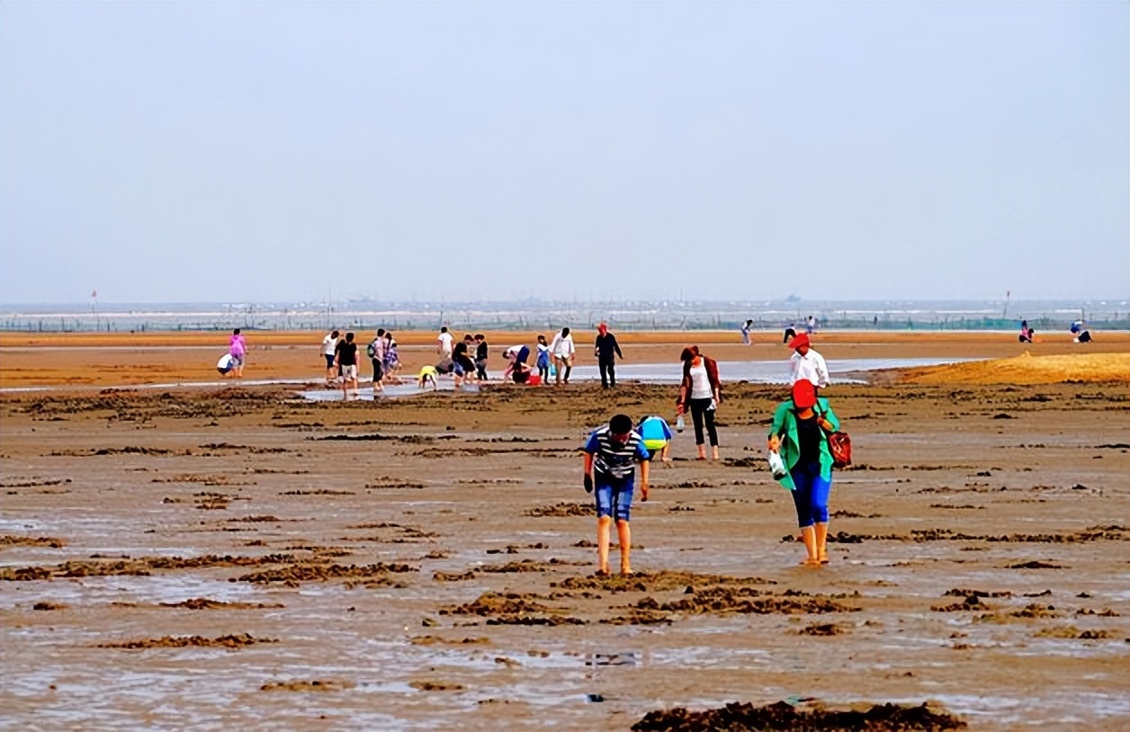 鏃ョ収鍥㈠缓鍏徃,鏃ョ収鍥㈠缓鎷撳睍娲诲姩瀹氬埗