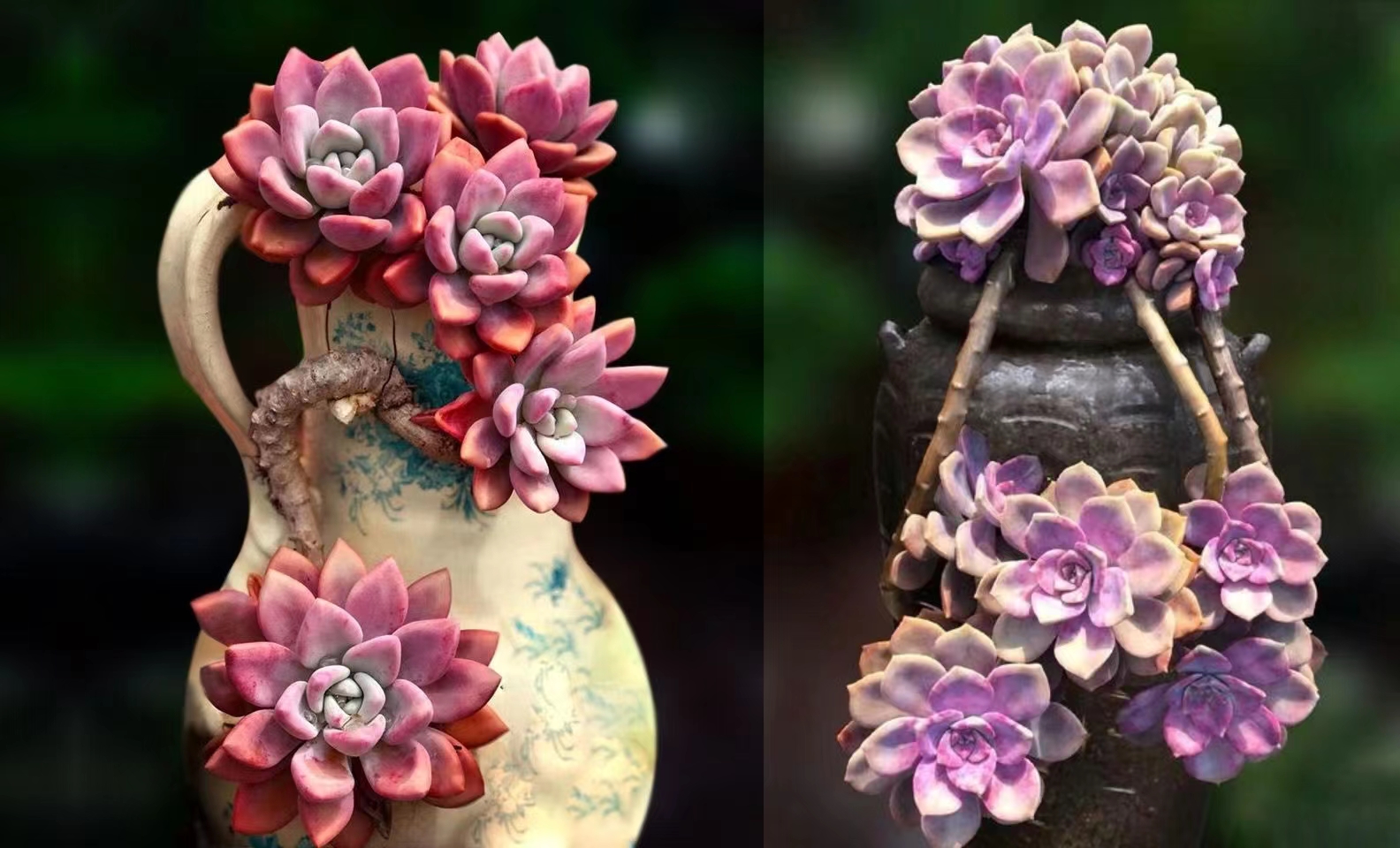 拼图技巧讲解300片,拼图技巧讲解1000片背面不带字