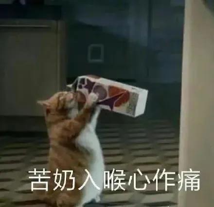 聪明水动画,聪明水的功效和作用