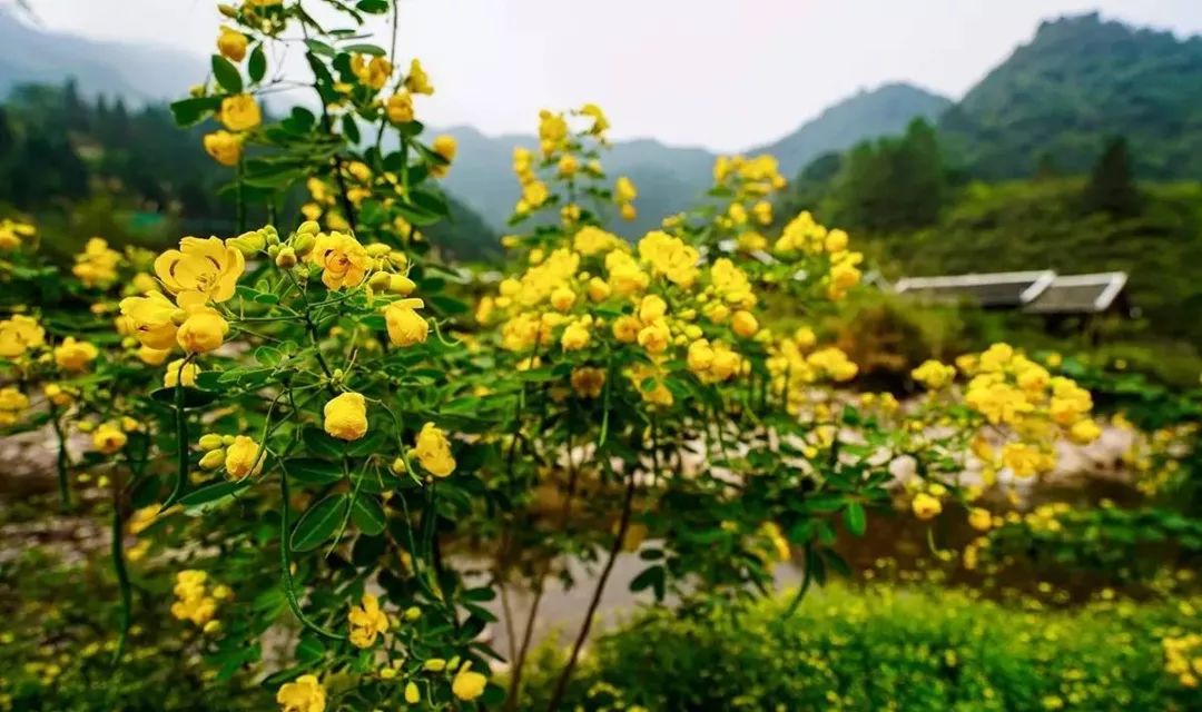 桂林夏天哪里方便避暑,桂林避暑耍水最好的地方