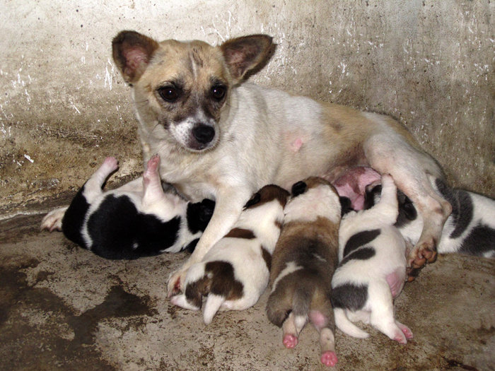 最让人痛心的亲情,缺失的亲情是无法弥补的