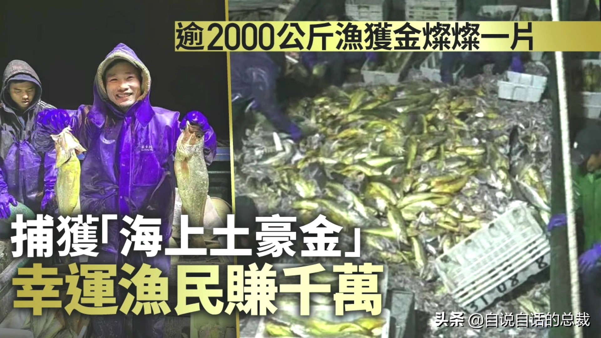 为什么买的鳕鱼段都是粘液,为什么买的鳕鱼那么多水