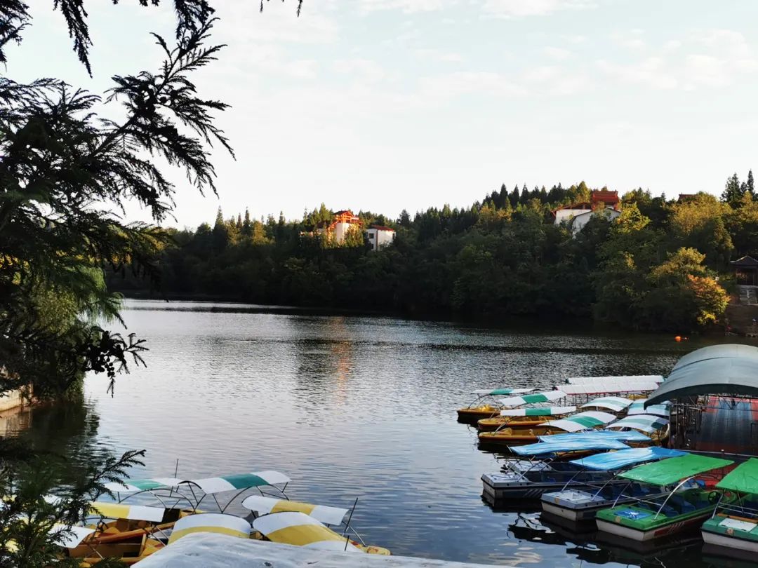 利川黄水镇,石柱黄水是个避暑的好地方