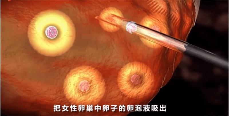 厕所的高薪兼职,公厕高薪兼职