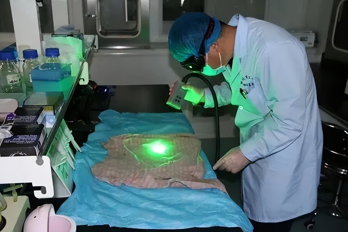 银川无创dna检测,广西dna检测