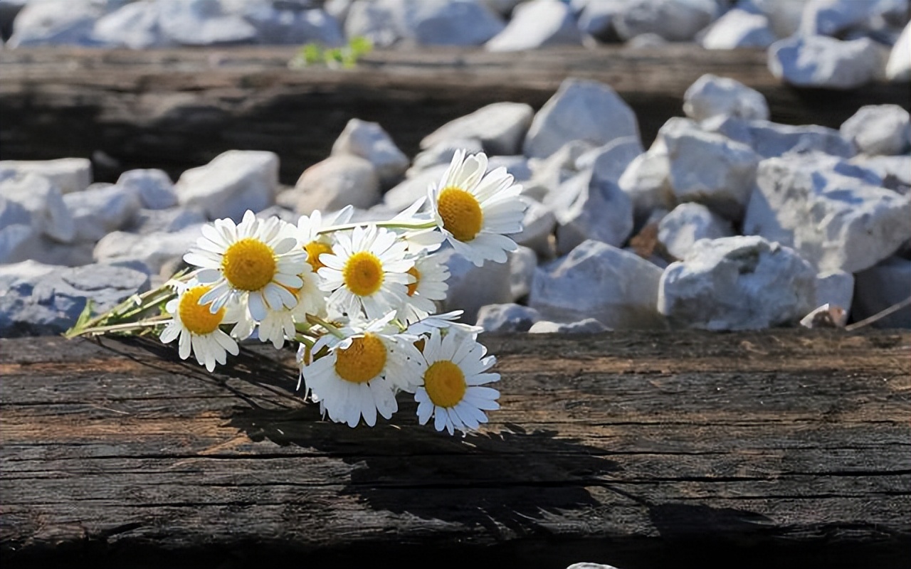 当男人很穷时你会怎样选择,如果男人觉得你很廉价你怎么做