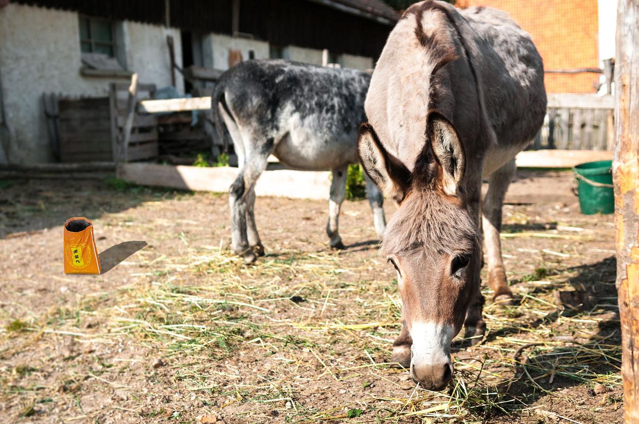 驴不喝水咋回事啊,驴不吃肉是什么原因