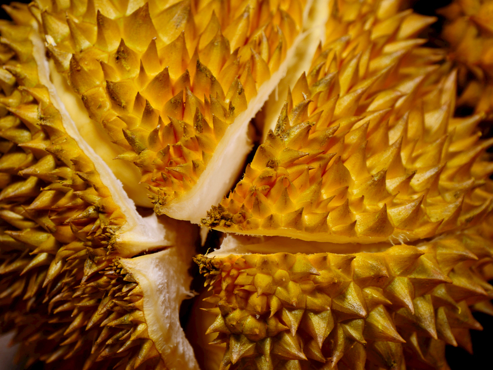 6月份热卖水果有哪些,4月份应季水果什么水果最好卖