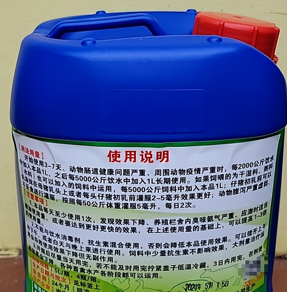 梅花鹿的养殖前景与风险,哪里能学到养殖梅花鹿的养殖技术