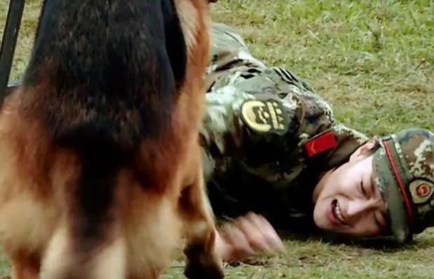 曾惨遭家暴的10位明星,惨遭家暴的8位女星